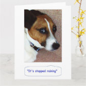 Carte Jack Russell Greetings Card - Montys Bored (Fleur jaune)
