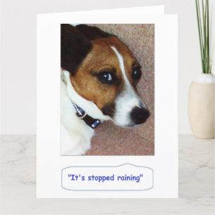 Carte Jack Russell Greetings Card - Montys Bored