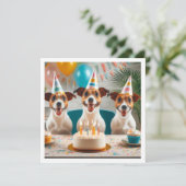 Carte Jack Russell Terrier, Jack Russell Terrier (Debout devant)