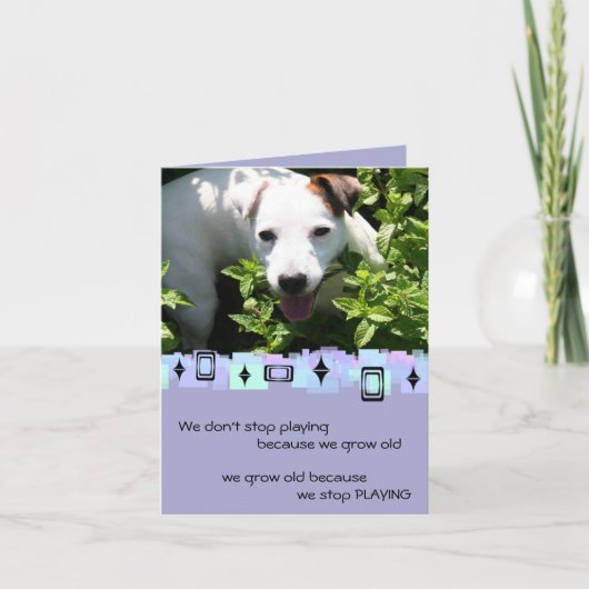 Carte Jack Russell voeux d'anniversaire (Devant)