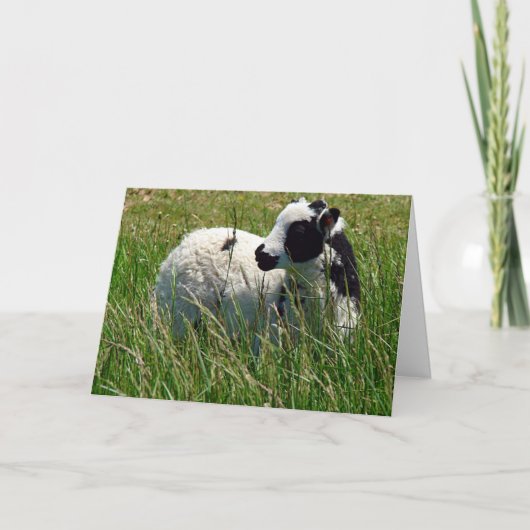 Carte Jacob Ram Fête des Mères (Devant)