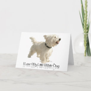 Carte J'adore mon petit chien blanc - Westie