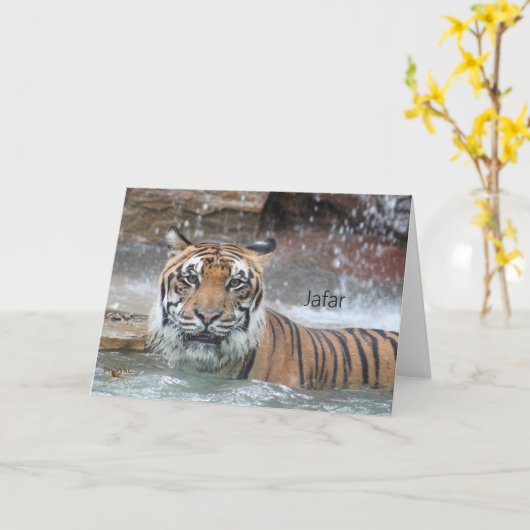 Carte Jafar (Fleur jaune)