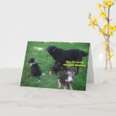 Carte J'ai entendu dire que c'était ton anniversaire (Fleur jaune)