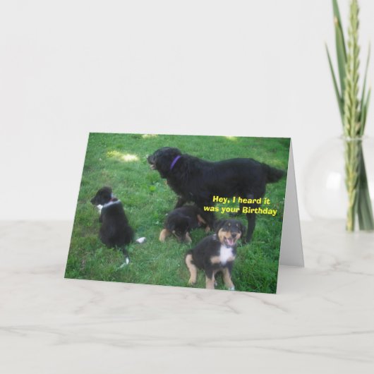 Carte J'ai entendu dire que c'était ton anniversaire (Devant)