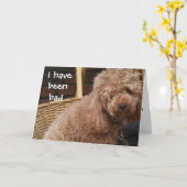 CARTE J'AI ÉTÉ MAUVAIS ANNIVERSAIRE. (Fleur jaune)