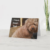 CARTE J'AI ÉTÉ MAUVAIS ANNIVERSAIRE. (Devant)