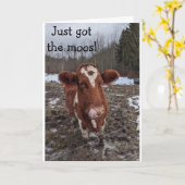 CARTE J'AI EU LE MOOS (NOUVELLES) HEUREUX "ANNIVERSAIRE" (Fleur jaune)