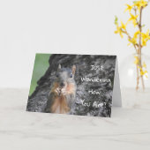 Carte J'Ai Pensé À Vous, Photo D'Écureuil (Fleur jaune)