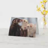 Carte J'aime des furets (Fleur jaune)