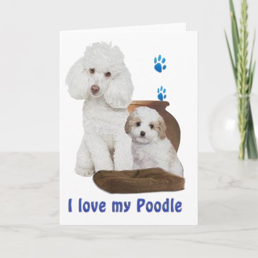 Carte J'aime mon caniche (Devant)