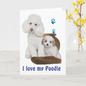 Carte J'aime mon caniche (Fleur jaune)