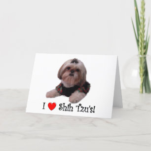 Carte J'aime Shih Tzu