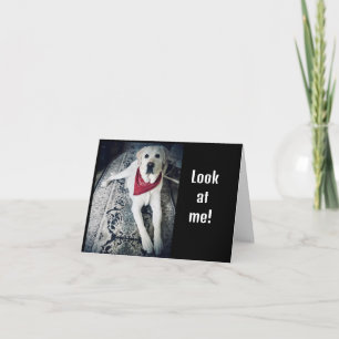 CARTE J'AIMERAIS DIRE "JOLI ANNIVERSAIRE" EN PERSONNE