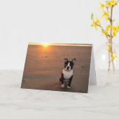 Carte J'Aimerais Que Vous Étiez Ici (Fleur jaune)