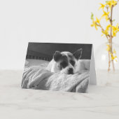 Carte J'aimerais que vous soyez ici. (Fleur jaune)