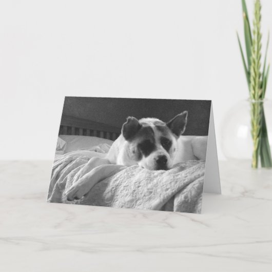 Carte J'aimerais que vous soyez ici. (Devant)