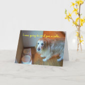 Carte J'allais t'envoyer un gâteau... (Fleur jaune)