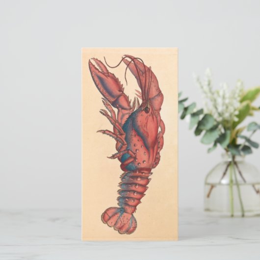 Carte James Sowerby Homard serbé (Debout devant)