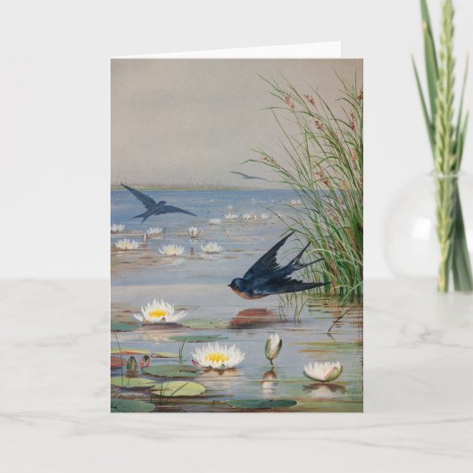 Carte Janvier | Ponts Fidelia (Devant)