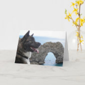 Carte Japaness Akita (Fleur jaune)