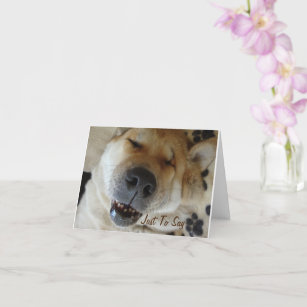 Carte japonaise akita chien avec mignon sourire en pensa