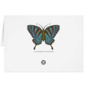 Carte japonaise Swallower (Dos Horizontal)