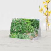 Carte Jardin 1 d'ombre (Fleur jaune)