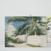 Carte Jardin à Nassau (capitale des Bahamas) (Debout devant)