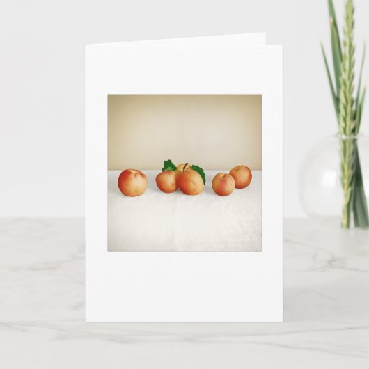 Carte Jardin Apricots, salutation sans vie (Devant)