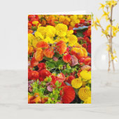 Carte jardin d'agrément lumineux de slipperwort (Fleur jaune)