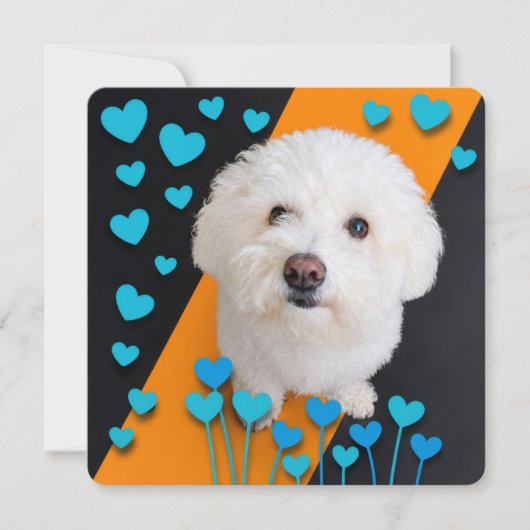 Carte Jardin d'amour (Devant)