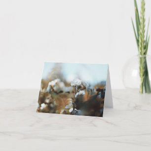 Carte Jardin de roses blanches rêveur avec un bokeh vint