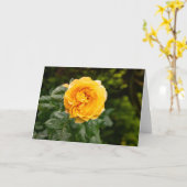 Carte Jardin de roses rose poudrée (Fleur jaune)