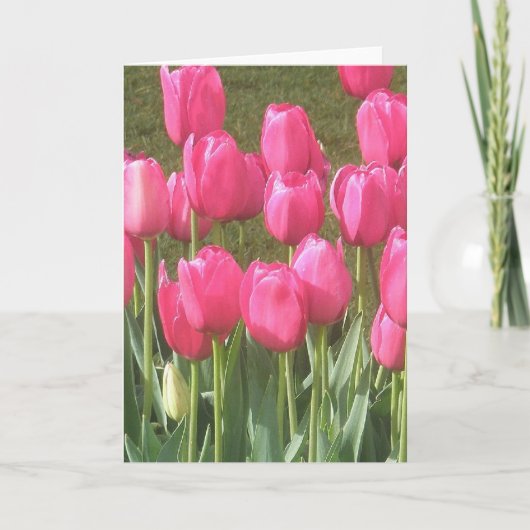 Carte Jardin de tulipes rose vif (Devant)
