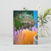 Carte Jardin encore vie avec citrouille orange (Debout devant)