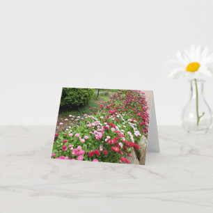 Carte Jardin rose