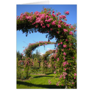 Carte Jardin Rose