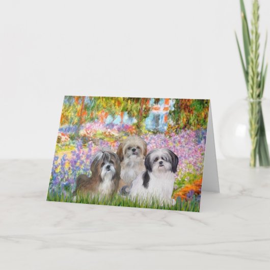 Carte Jardin - Shih Tzus (trois) (Devant)