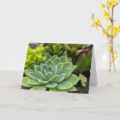 Carte Jardin succulent (Fleur jaune)