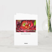 Carte Jardin succulent coloré (Dos)