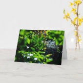 Carte Jardin vert luxuriant (Fleur jaune)