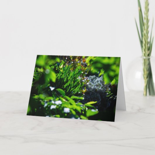 Carte Jardin vert luxuriant (Devant)