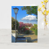 Carte Jardins de Ronda (Fleur jaune)