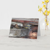 Carte Jaseurs et vasque de cèdre (Fleur jaune)