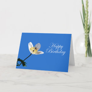 Carte Jasmine et Bumblebee