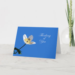 Carte Jasmine et Bumblebee