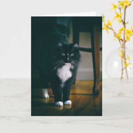 Carte Jasper le chat tuxedo (Fleur jaune)
