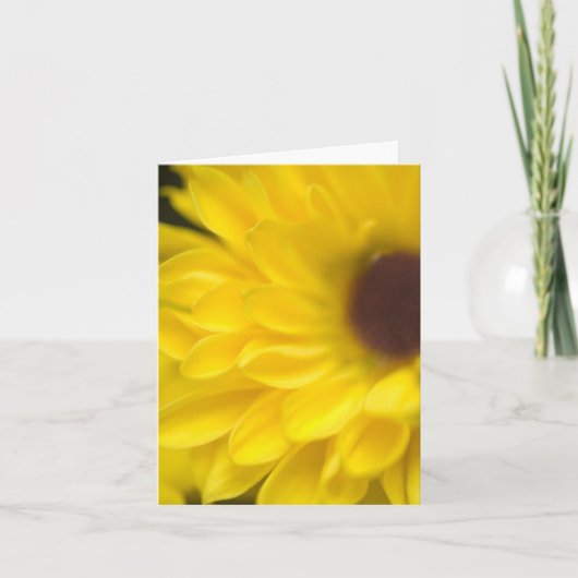 Carte jaune (Devant)