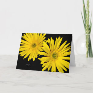 Carte jaune